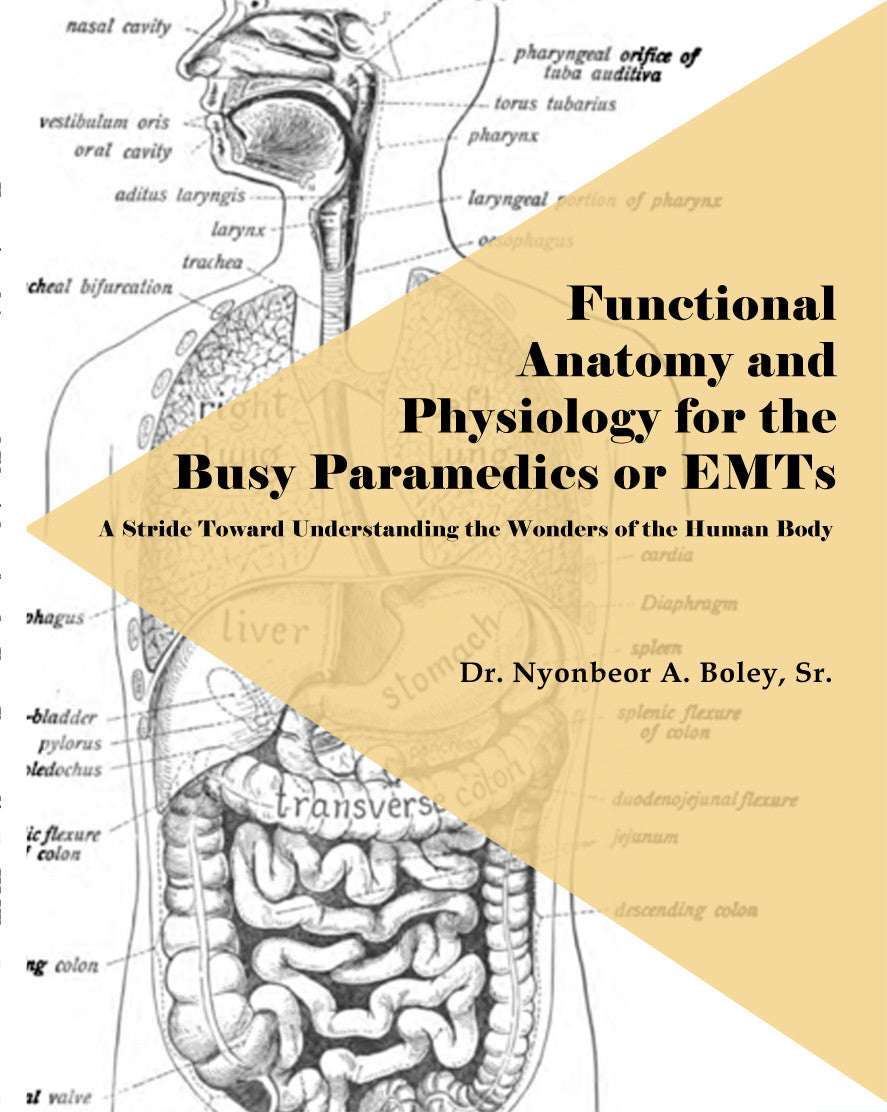 Functional Anatomy And Physiology For The Busy Paramedics Or EMTs