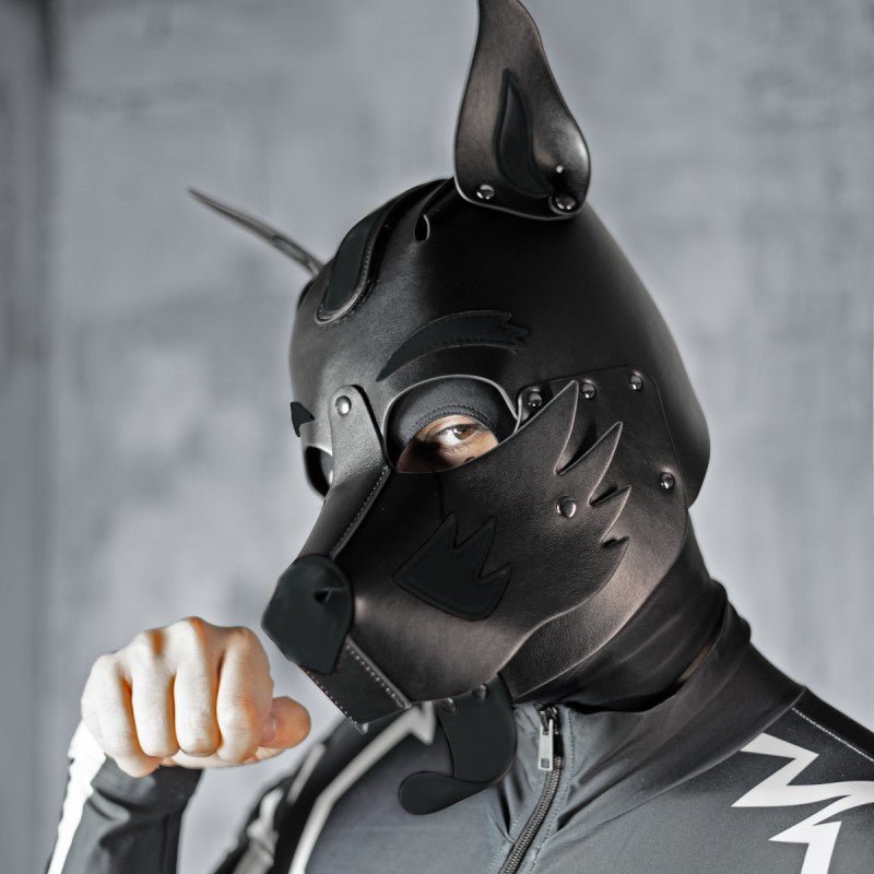 Boxer Barcelona X1 Pup Hood | All Black