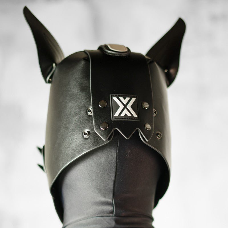 Boxer Barcelona X1 Pup Hood | All Black