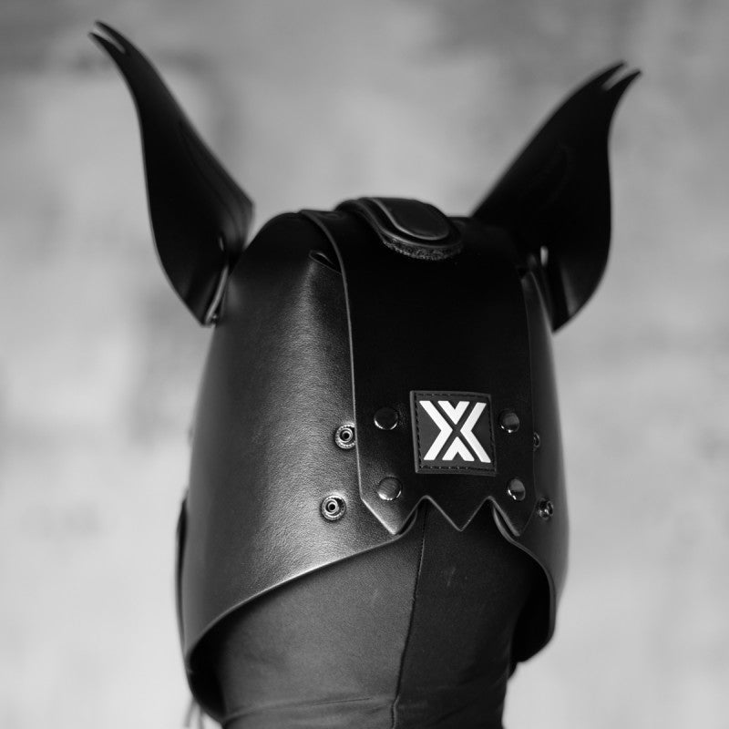 Boxer Barcelona X2 Pup Hood | All Black