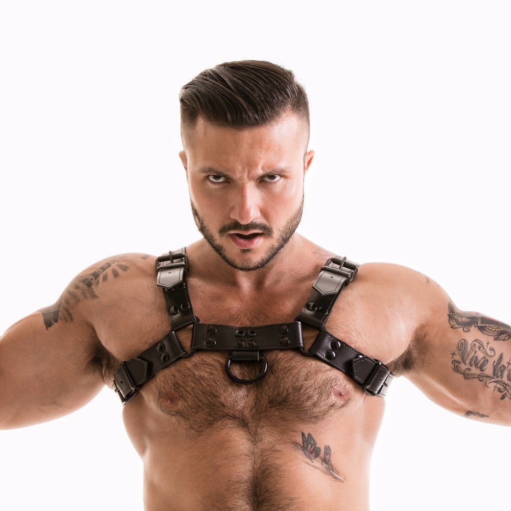 FETISH GEAR Colour Coded H-Front Harness | Black