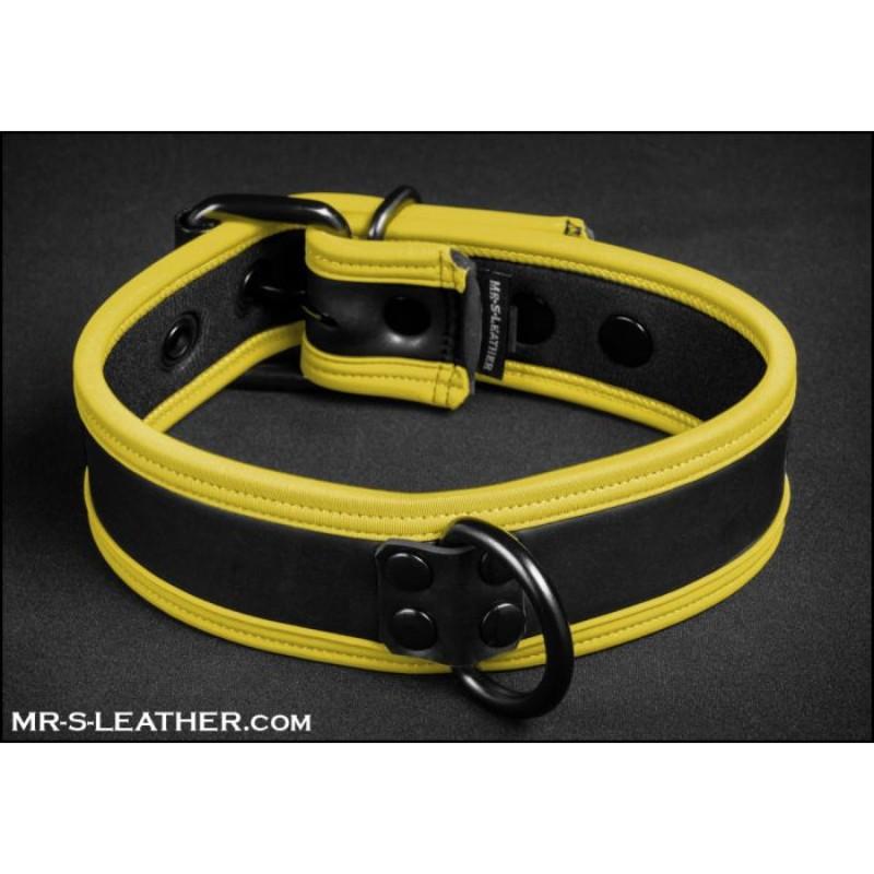 Mr S Leather NEO Puppy Collar | Black with Yellow Piping