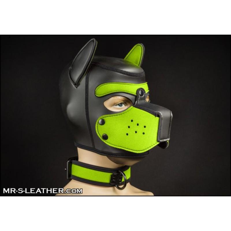 Mr S Leather NEO Puppy Collar: Small to Large | Lime Green