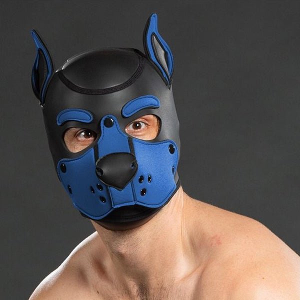 Mr S Leather Neoprene K9 Puppy Hood | Black/Cobalt
