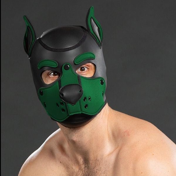 Mr S Leather Neoprene K9 Puppy Hood | Black/Hunter Green
