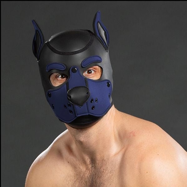 Mr S Leather Neoprene K9 Puppy Hood | Black/Navy