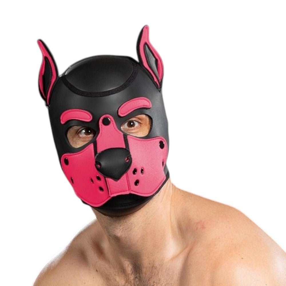 Mr S Leather Neoprene K9 Puppy Hood | Black/Pink
