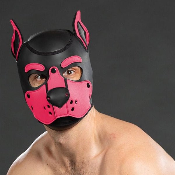 Mr S Leather Neoprene K9 Puppy Hood | Black/Pink