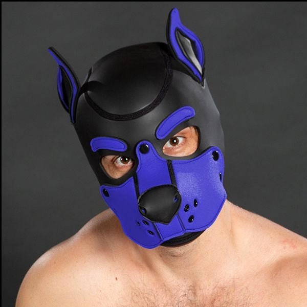Mr S Leather Neoprene K9 Puppy Hood | Black/Royal Blue