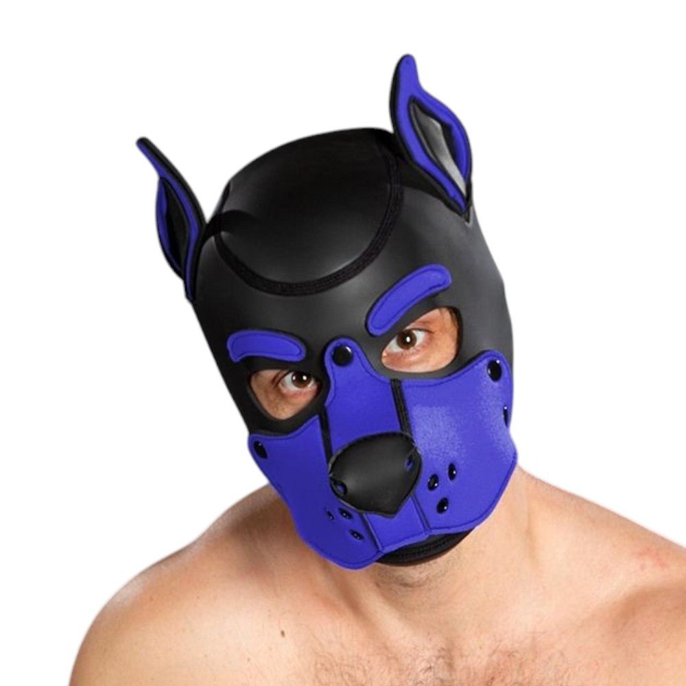 Mr S Leather Neoprene K9 Puppy Hood | Black/Royal Blue