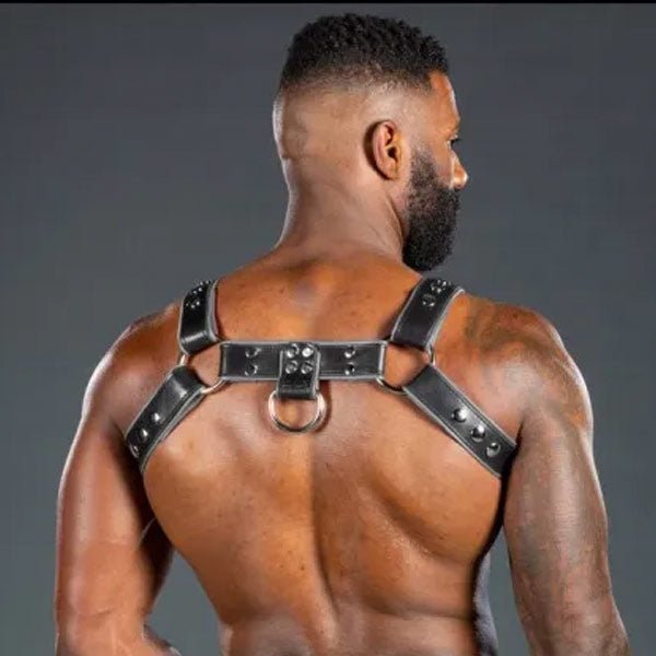 Mr. S Leather Piped Bulldog Harness Black/Grey