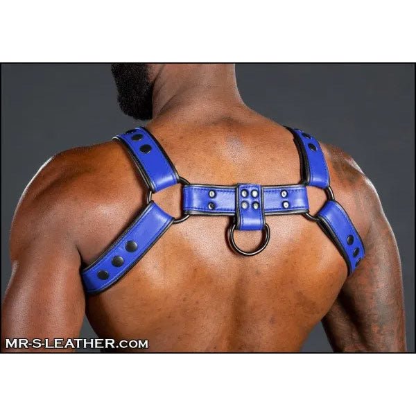 Mr.S Leather Dark Room Bulldog Harness | Blue