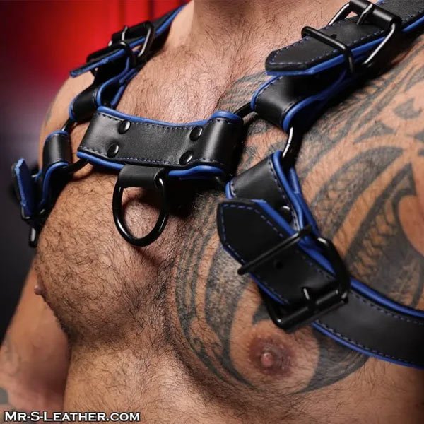 Mr.S Leather Hardline Bulldog Harness | Black/Blue