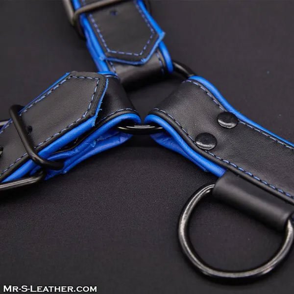 Mr.S Leather Hardline Bulldog Harness | Black/Blue