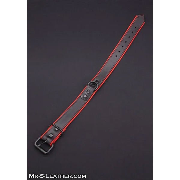 Mr.S Leather Hardline Collar | 11 Colours
