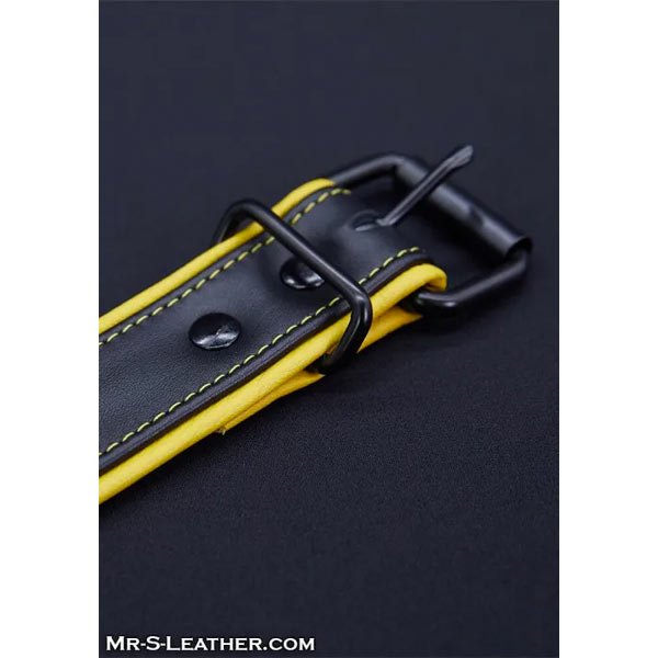 Mr.S Leather Hardline Collar | 11 Colours