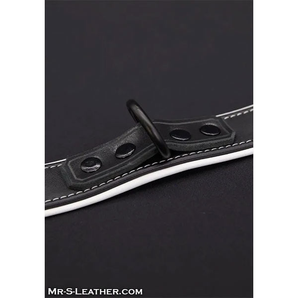 Mr.S Leather Hardline Collar | 11 Colours