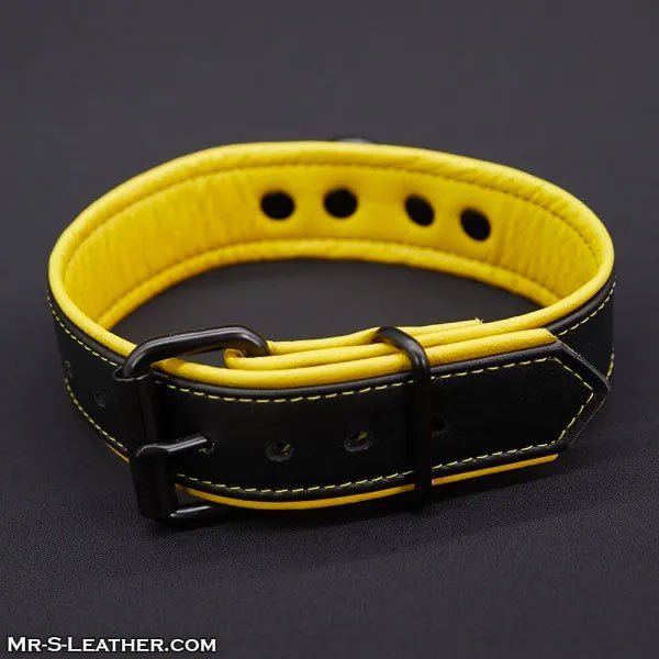 Mr.S Leather Hardline Collar | 11 Colours