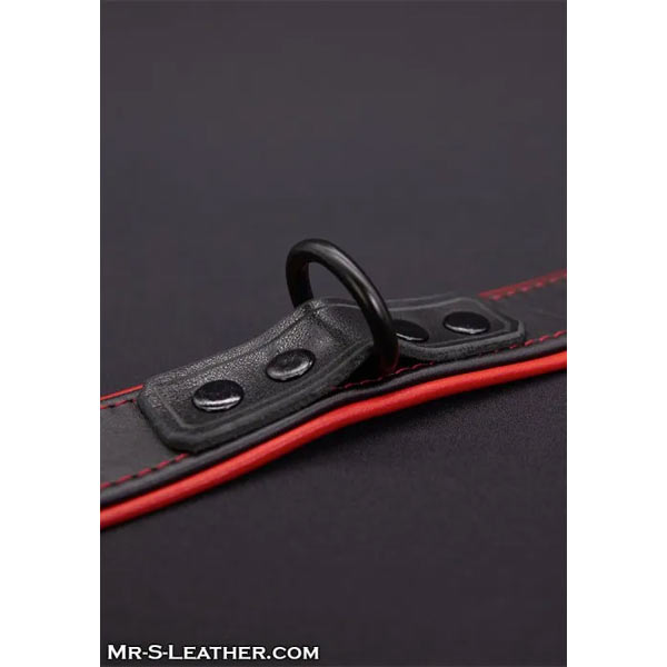 Mr.S Leather Hardline Collar | 11 Colours