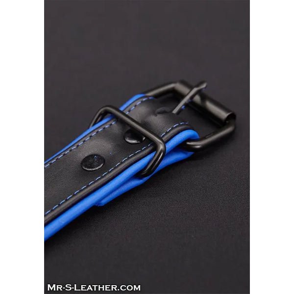 Mr.S Leather Hardline Collar | 11 Colours
