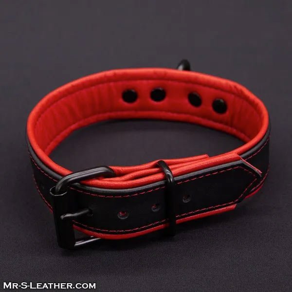 Mr.S Leather Hardline Collar | 11 Colours