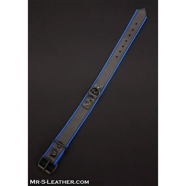 Mr.S Leather Hardline Collar | 11 Colours