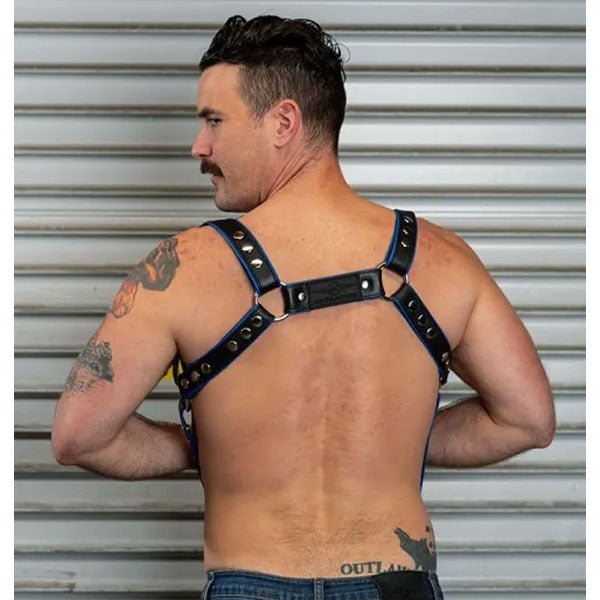 Mr.S Leather Hunter Harness 2024 | Blue