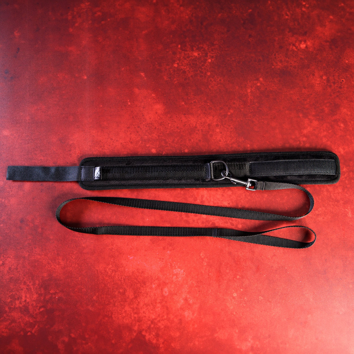 SEI MIO - Take the Lead - Padded Neck Collar and Leash