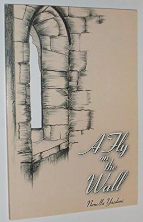 A Fly On The Wall