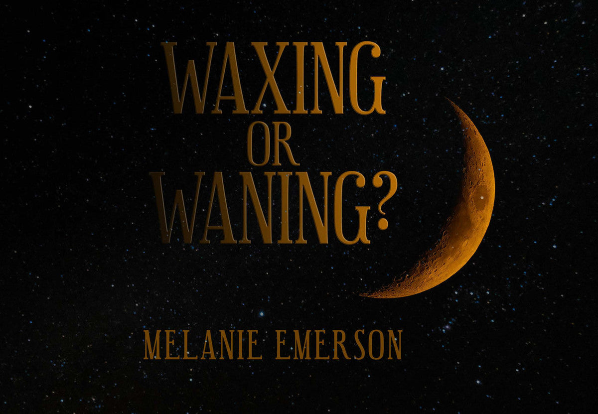 Waxing Or Waning? Cross Species Gazes Into The Therapist/Patient Relationship