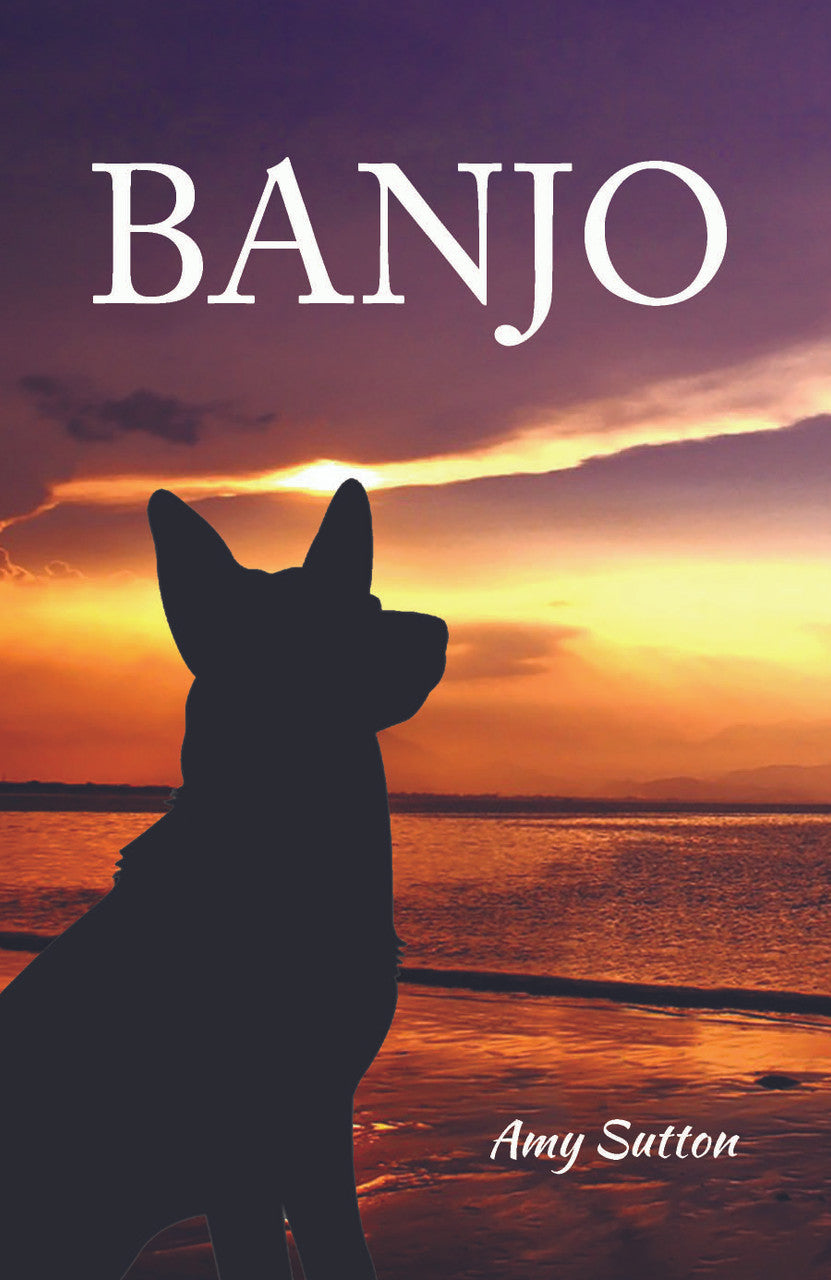 Banjo