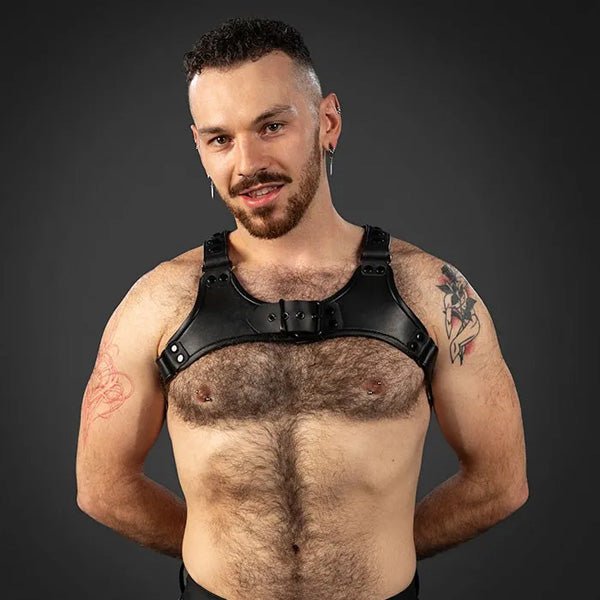 Mr. S Leather Centurion Harness 2.0 | Black