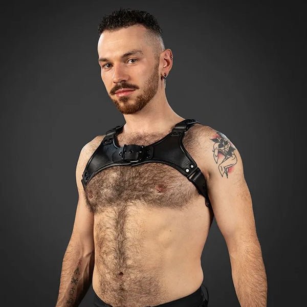 Mr. S Leather Centurion Harness 2.0 | Black