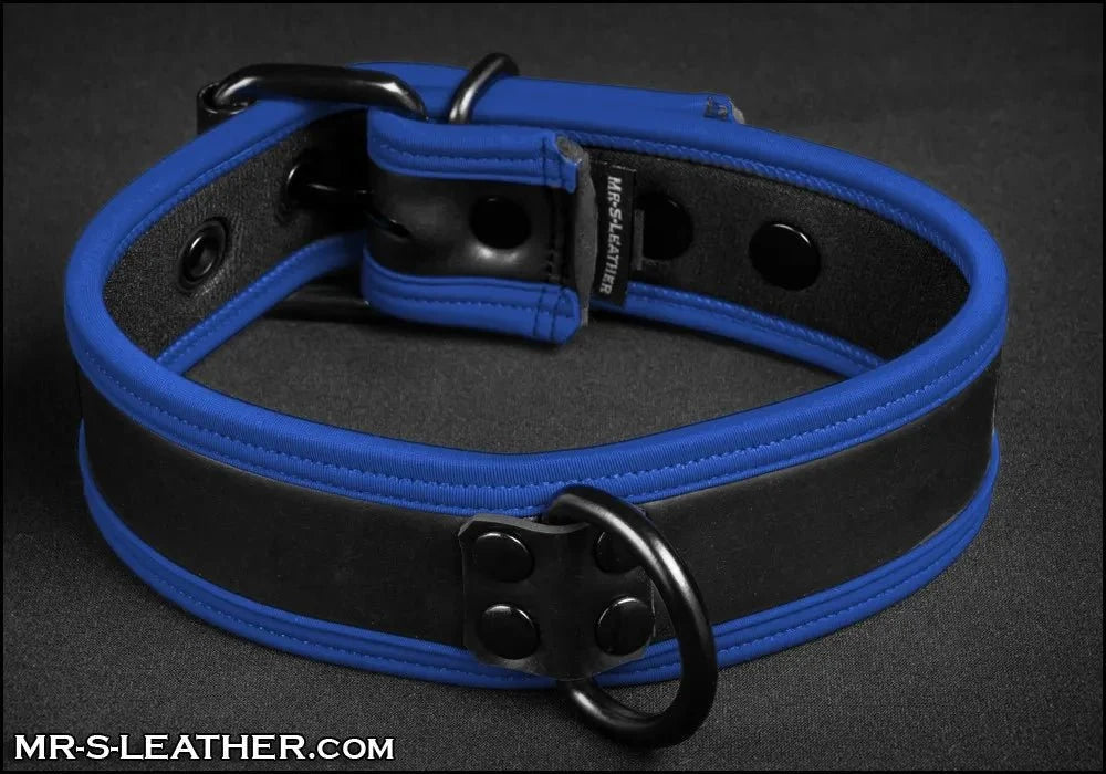 Mr S Leather NEO Puppy Collar | Black With Blue Piping