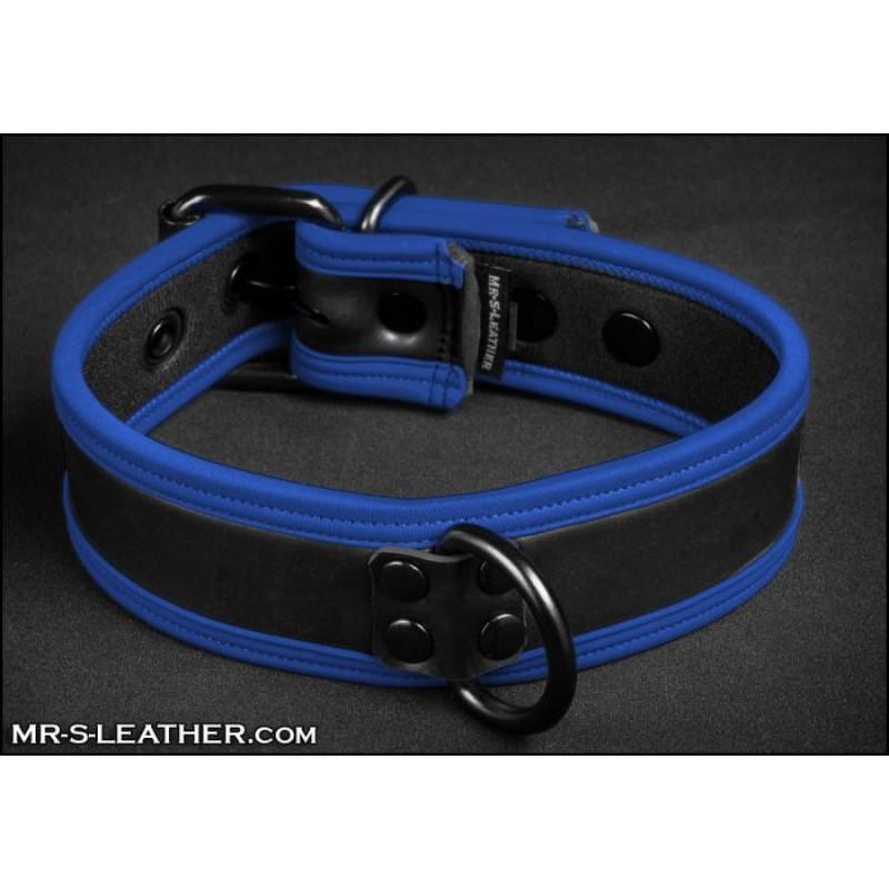 Mr S Leather NEO Puppy Collar | Black with Blue Piping