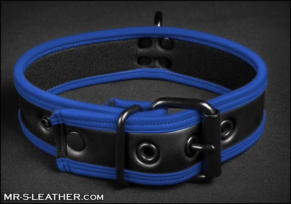 Mr S Leather NEO Puppy Collar | Black With Blue Piping