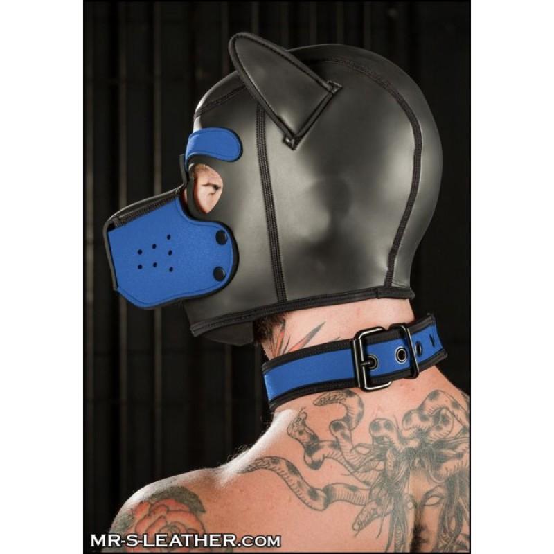 Mr S Leather NEO Puppy Collar: Small to Large | Blue