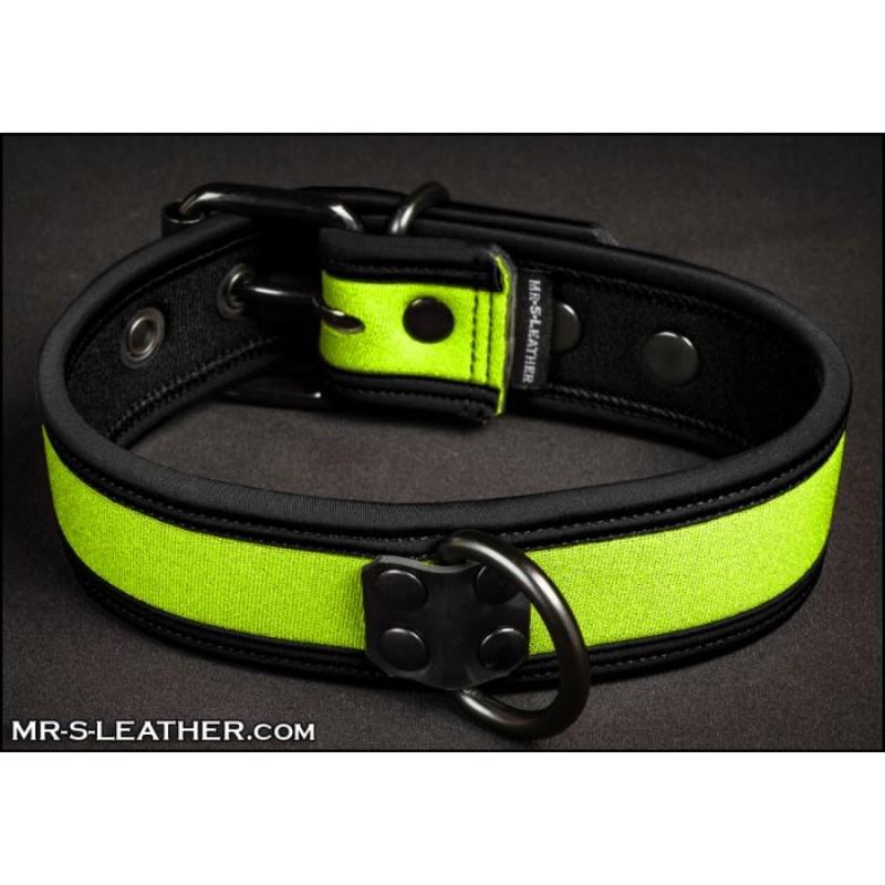 Mr S Leather NEO Puppy Collar: Small to Large | Lime Green