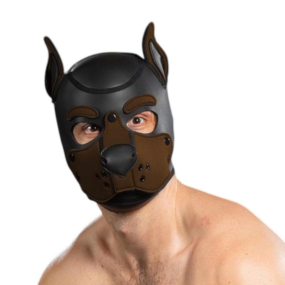 Mr S Leather Neoprene K9 Puppy Hood | Black/Brown