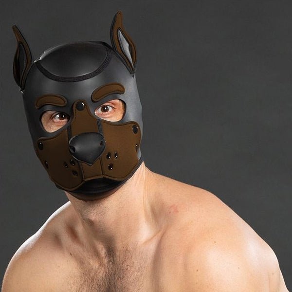Mr S Leather Neoprene K9 Puppy Hood | Black/Brown