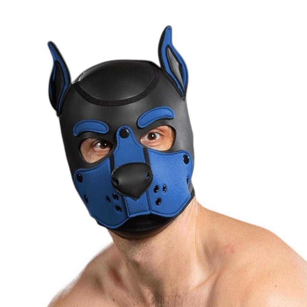 Mr S Leather Neoprene K9 Puppy Hood | Black/Cobalt