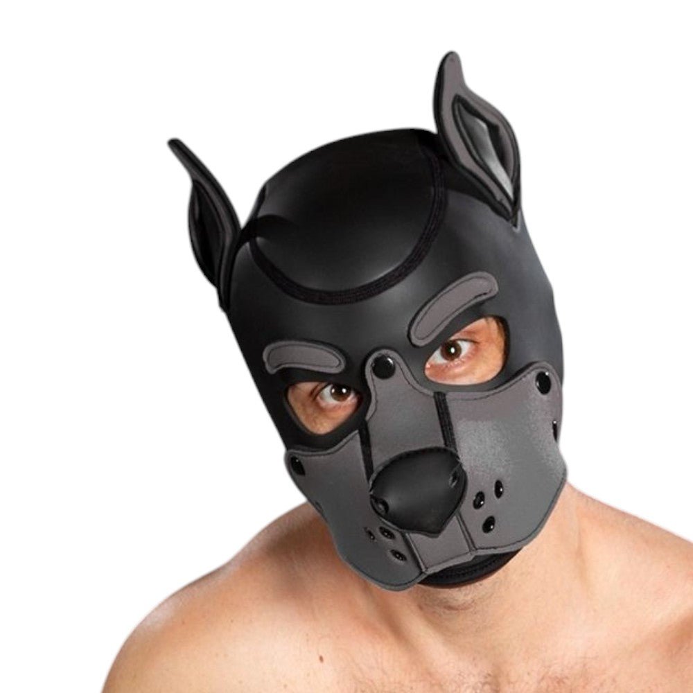 Mr S Leather Neoprene K9 Puppy Hood | Black/Grey
