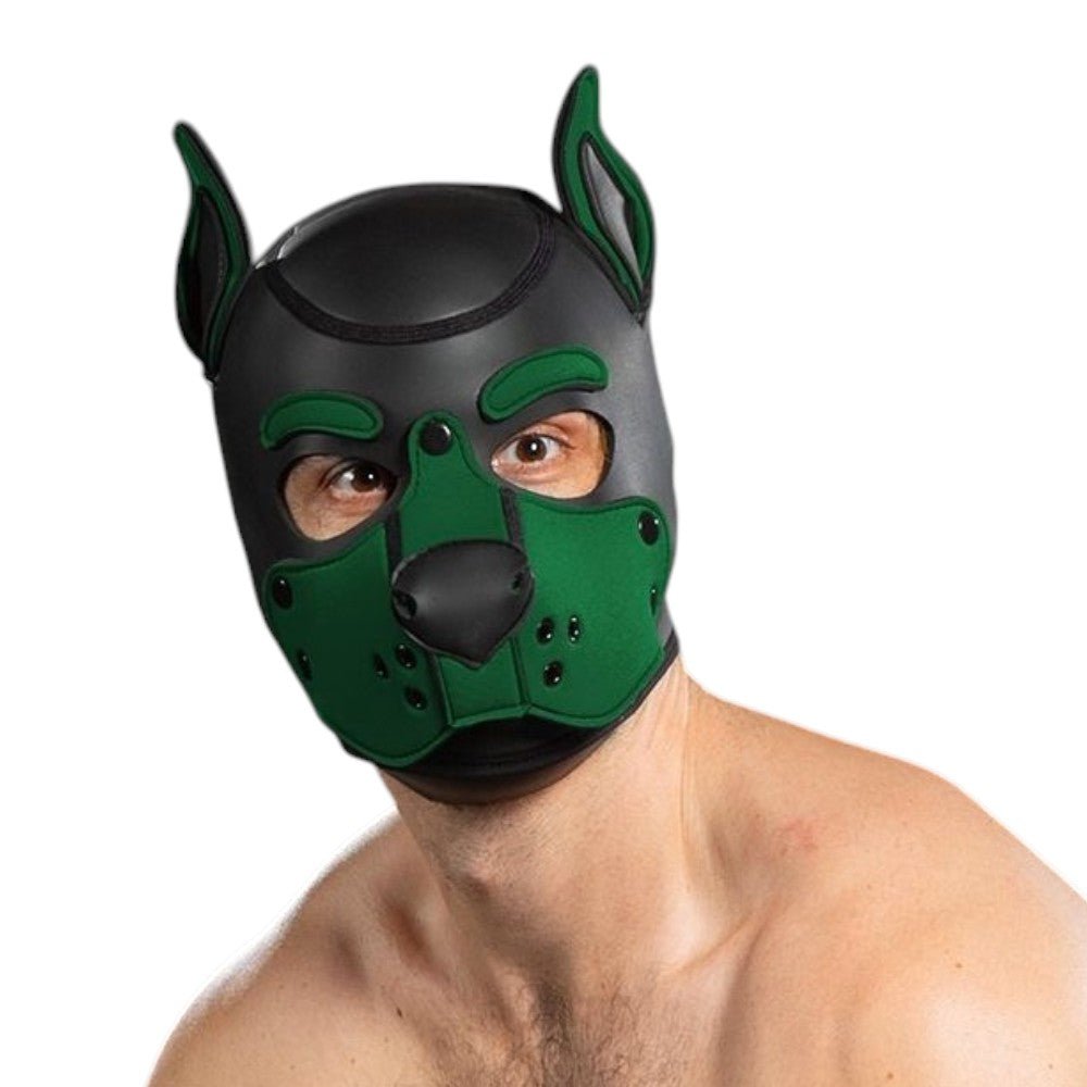 Mr S Leather Neoprene K9 Puppy Hood | Black/Hunter Green
