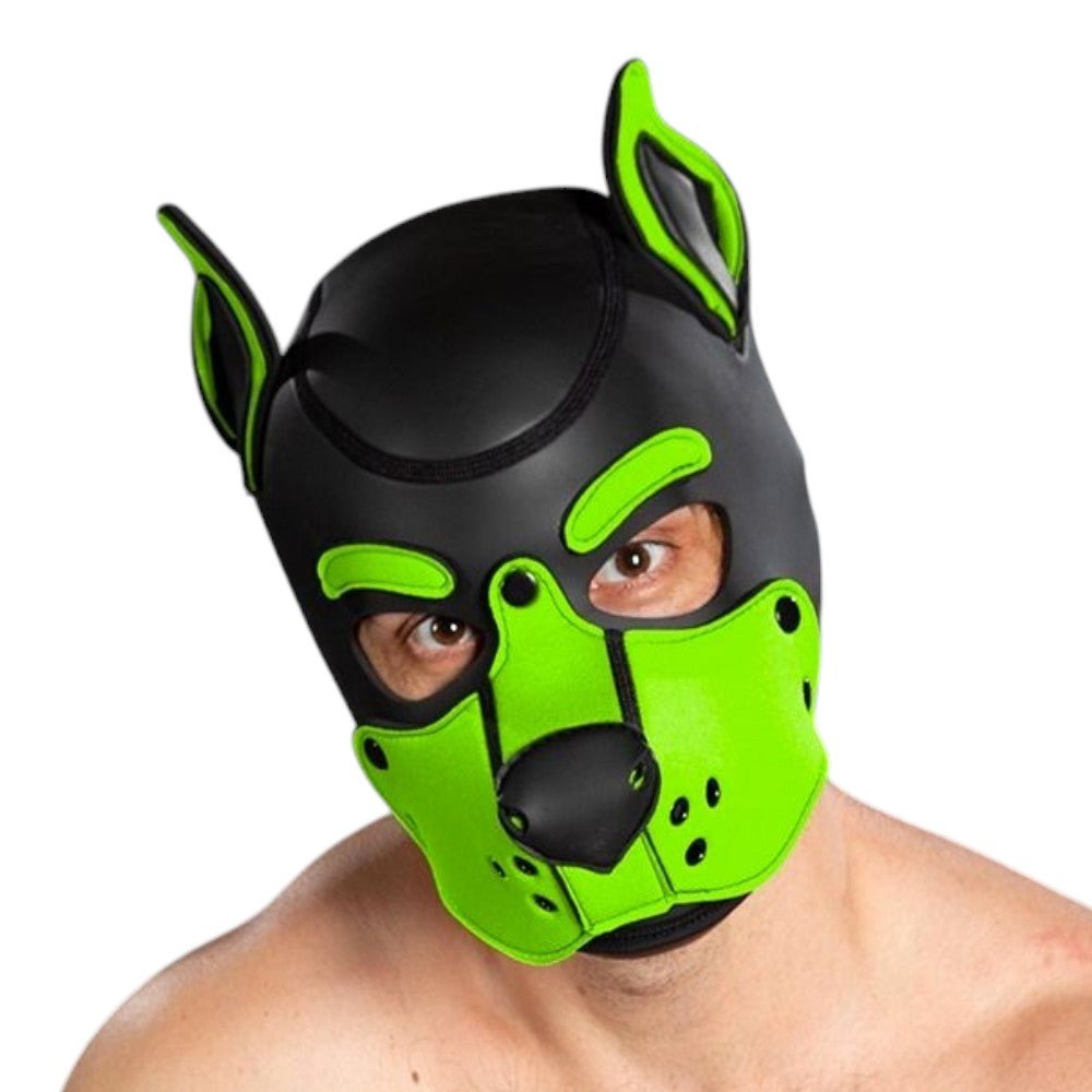 Mr S Leather Neoprene K9 Puppy Hood | Black/Lime Green