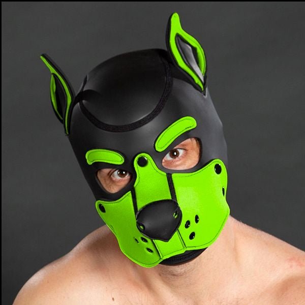 Mr S Leather Neoprene K9 Puppy Hood | Black/Lime Green