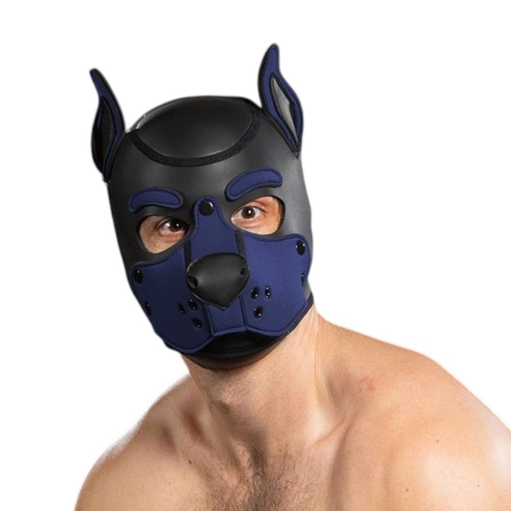 Mr S Leather Neoprene K9 Puppy Hood | Black/Navy