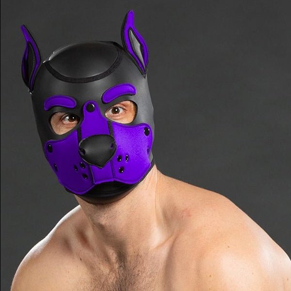 Mr S Leather Neoprene K9 Puppy Hood | Black/Purple