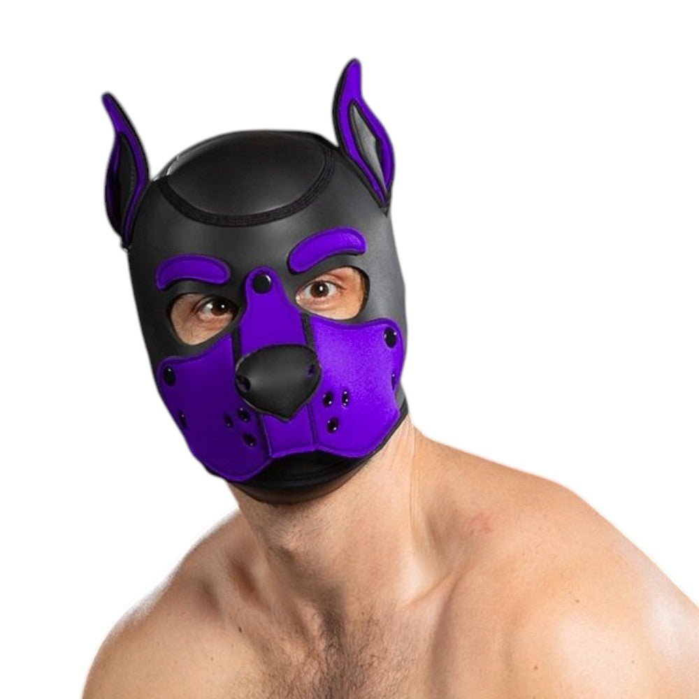 Mr S Leather Neoprene K9 Puppy Hood | Black/Purple