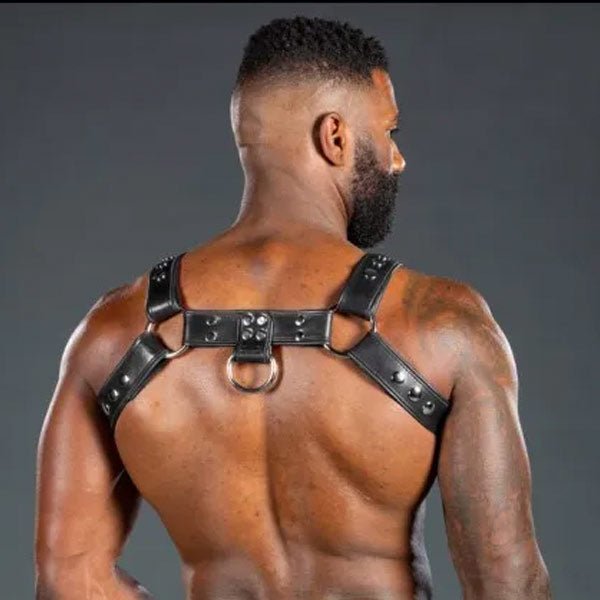 Mr. S Leather Piped Bulldog Harness Black/Black
