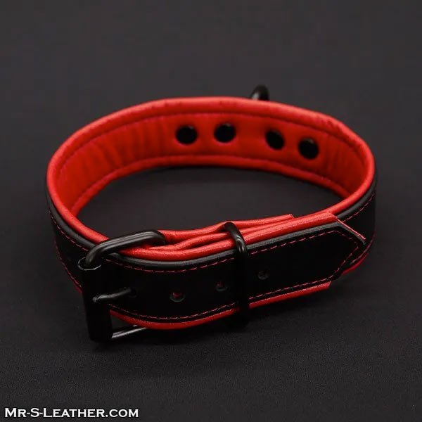 Mr.S Leather Hardline Collar | 11 Colours